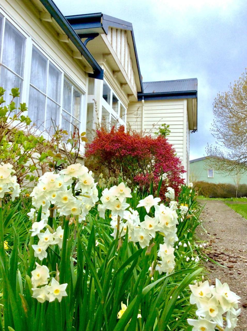 Acacia Bed And Breakfast Sheffield Zewnętrze zdjęcie